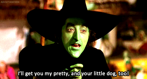 Forever reblog The Wizard of OZ, I am from Kansas.