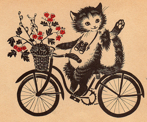 wannabebikegirl:  Cat riding bike (by rosiesnumberoneboy) If this isn’t cute, I don’t know what is. 