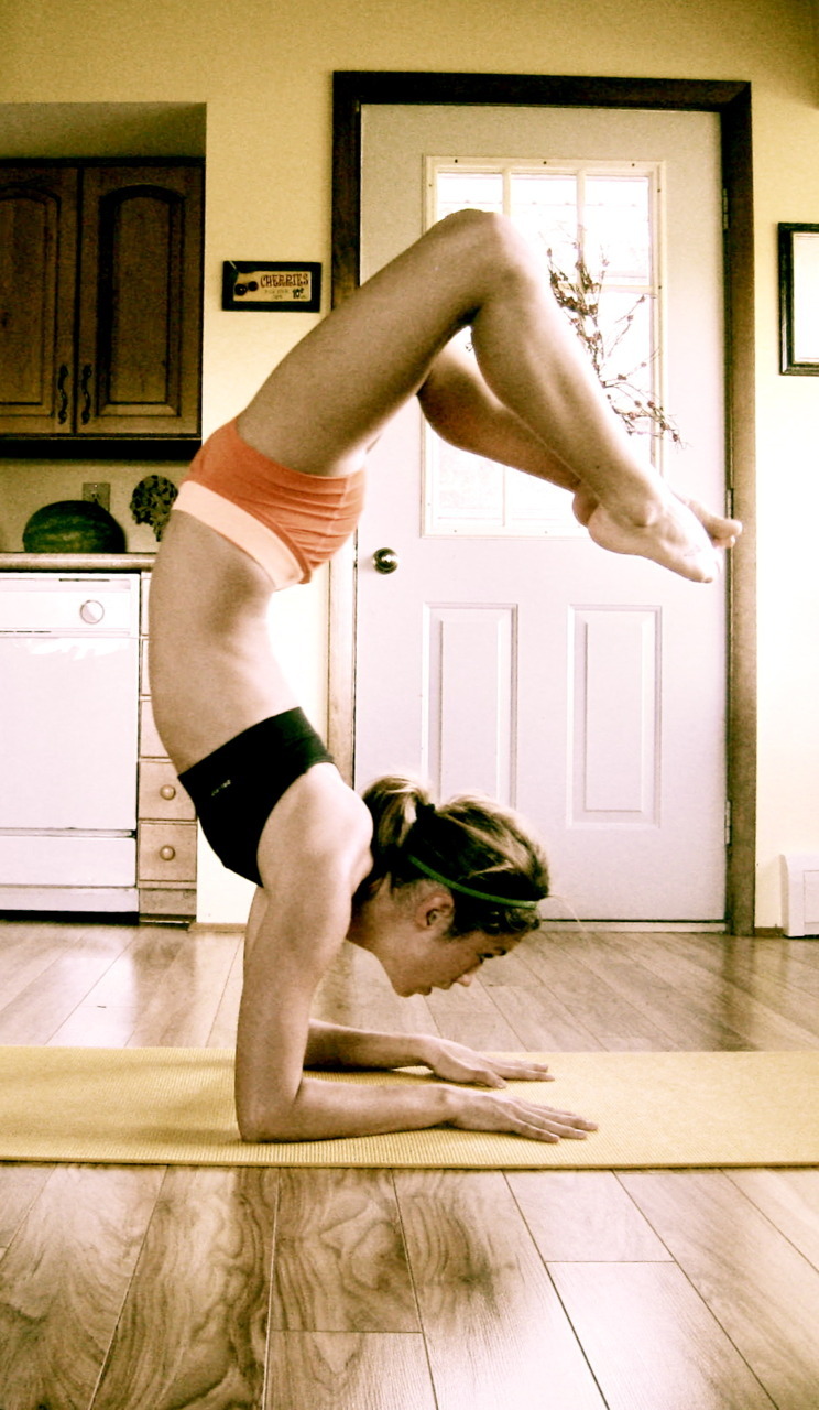 allstellawrote:  I really need to get back into yoga. 