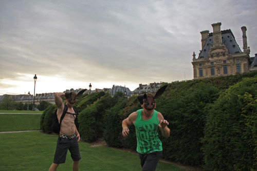 Le Lapin, Le Louvre - Paris - Alexander Guerra 2010