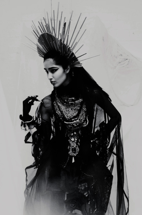 FELICE FAWN