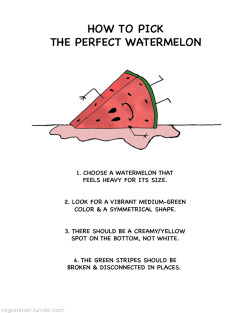 barefootedmom:  karicanrun:  trailflow:  really important information that will save your summer!  I want watermelon so bad  100% needed
