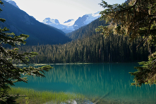 landscape_DWait_020_TNT08 (by supermans wife)
