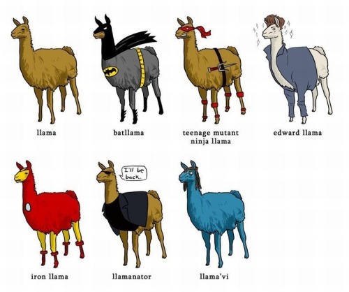Sex simowns:  IRON LLAMA  pictures
