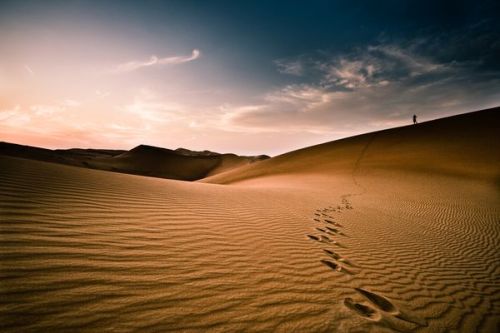 reiash:  Empty Quarter Desert, Saudi Arabia This image was taken in the Empty Quarter desert in the 
