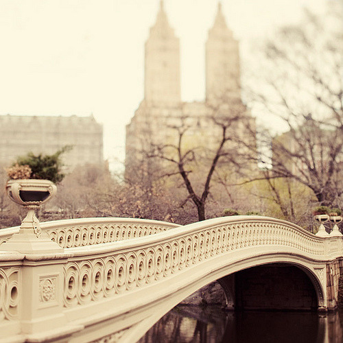 A walk in the park | Bow Bridge, Central Park, New York
© IrenaS