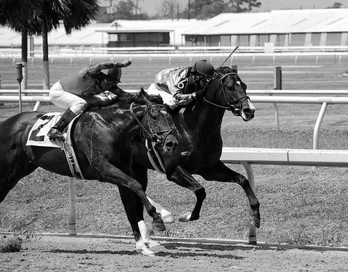 Belmont Stakes contender Prime Cut (Bernstein x Life Happened, by Stravinsky) on the outside catches up to the freakishly fast Bind (Pulpit x Check, by Unbridled).