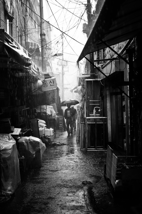 rcmaclean:  (via 500px / Photo “Rainy Day” by Sungjong Kim) I think I might just