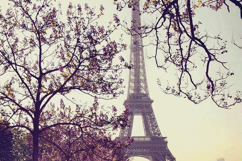 todisappe4r:  amo Francia por dios :c 