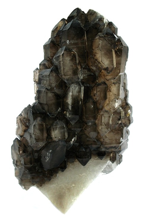 mineralia:  Smoky Quartz from Maine