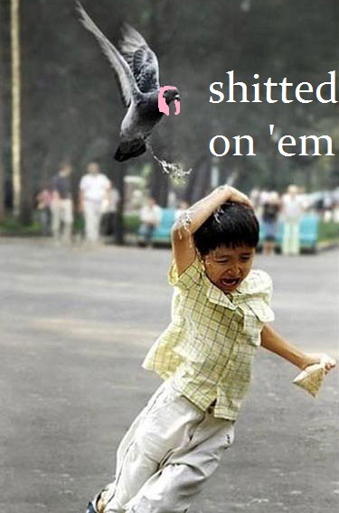 ithinklexii:  yougivemelife:  logoleptic:  omg minaj pigeon     LMFAO.  LMFAOO DONE!!