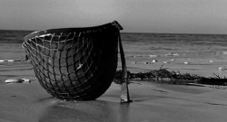 J-Wolf-Harding:  Omaha Beach. 