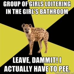fyeahhighschoolhyena:  [Picture: Background~ a six piece pie style colour split, alternating yellow and black. Foreground~ a picture of a hyena. Top text: “{Group of girls loitering in the girl’s bathroom}.” Bottom text: “{Leave, dammit! I actually