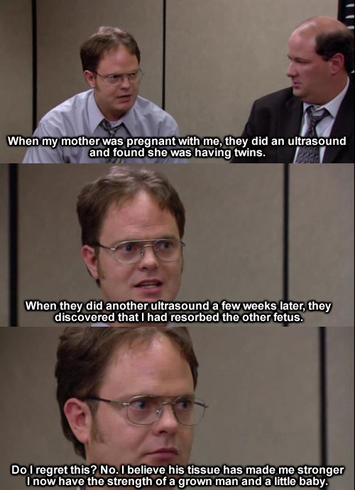 Funny dwight schrute memes