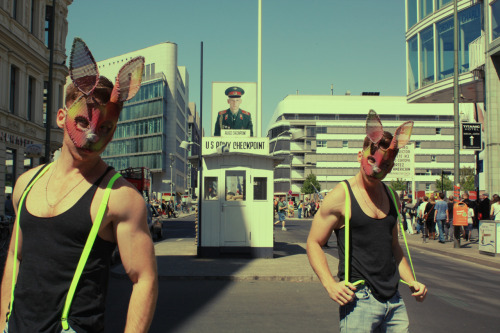 Checkpoint Bunnies - Berlin - Alexander Guerra 2011