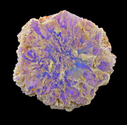 mineralia:  Opal from Australia 