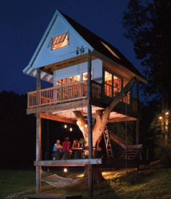 Most epic tree house ever!