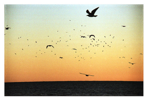 dancingfeet:  (by macarena bravo)  lol this reminds me of yellowcard a little bit… right!?