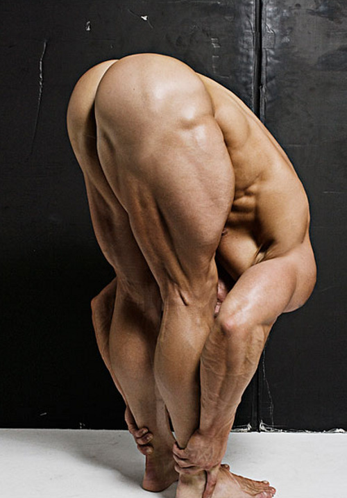 nomoreabuse:  those muscles are perfect