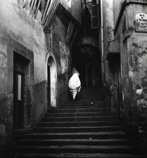 undr:  Philippe Joudiou La Casbah, Alger, Algérie, circa 1950 