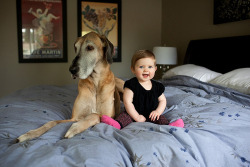 kristt:  This is my future. Great Dane and a happy baby. Married to my prince, in our castle. 
