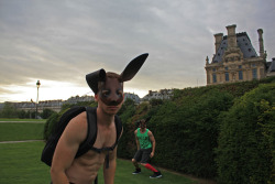 Le Lapin, Le Louvre - Paris 2010 - Alexander Guerra