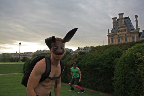 Le Lapin, Le Louvre - Paris 2010 - Alexander adult photos