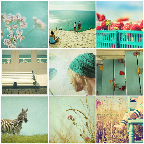 Pictures and Quotes