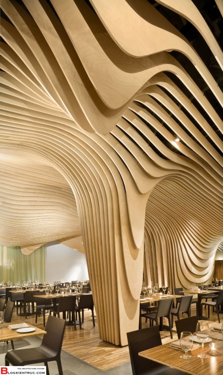 teawithatigr:An undulating ceiling constructed from suspended wooden panels create a sense of intima