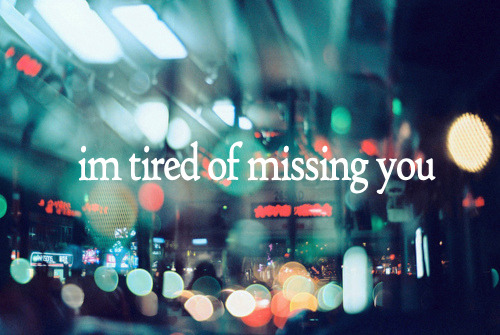 Everything in this dream.