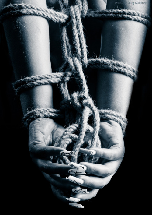 aldekein:  Shibari. Model: Nataly 