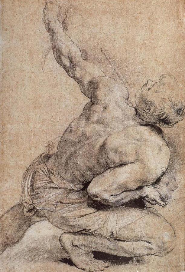 artandopinion:  Pencil Sketch of a Man’s Back Peter Paul Rubens 