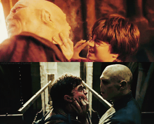 Everything Harry Potter