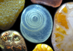 carlop:  Grains of sand under a microscope 