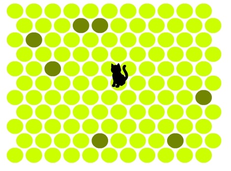 Prenda o gato: reblogue> vá no seu tumblr> clique na imagem