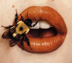 Mrwires:  Irving Penn Bee On Lips 