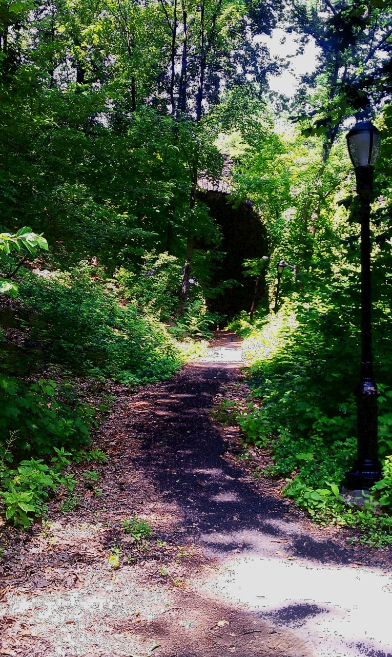 Fort Tryon Park
photo by Christian