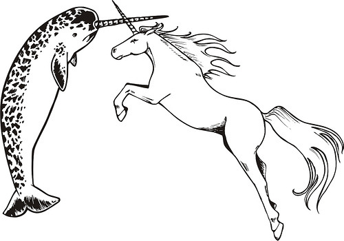 The Majesty of the Narwhal