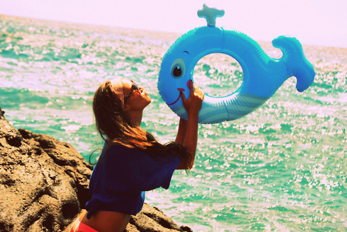 Life Rocks