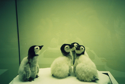 surferdude182:   (by Mora Palmer) 