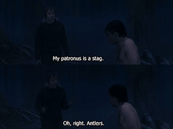 Rapttors