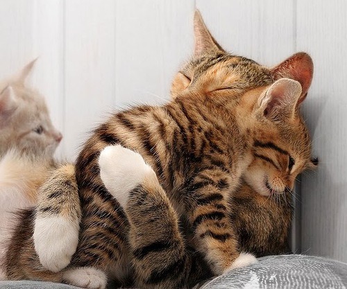 awwwn