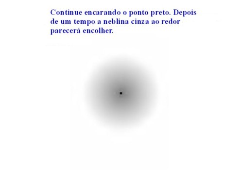 Conflitos no cérebro. 