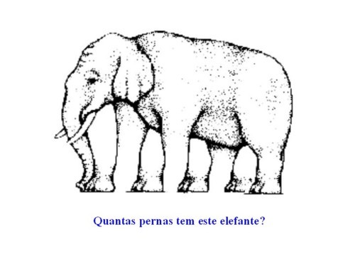 Conflitos no cérebro. 