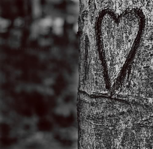 Love the little things and gestures one day you will see just how big they were