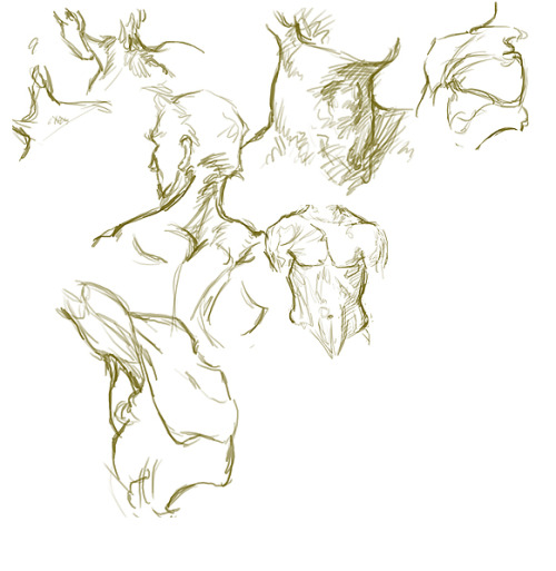 George Bridgman's Constructive Anatomy; Still Not A Cure For Insomnia.