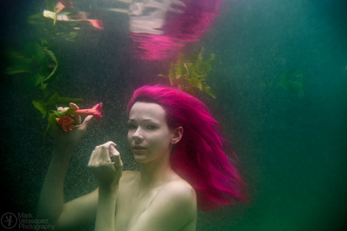 As mentioned previously, I was fortunate this weekend to work with the wonderful Raven Le Faye. Since I’m finally starting to get the hang of this whole underwater-photography-thing and she had always wanted to try, we got to work.I fell in love