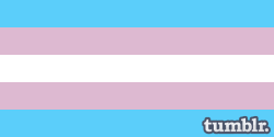  REBLOG IF YOU SUPPORT TRANS* PRIDE.  