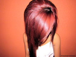 cnguyen-:  hair color.  