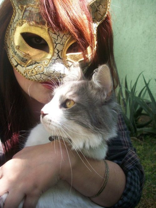 catsareeverywhere:  Not so different after all me and my Angora Turkish Vlad :)  wantt that maskk